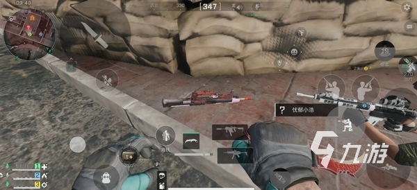 的交相辉映 的交相辉映