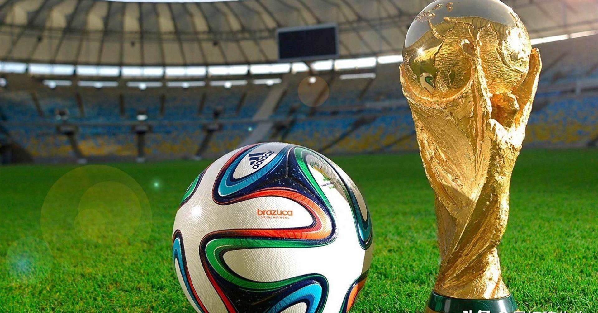 福建队的三 福建队的三