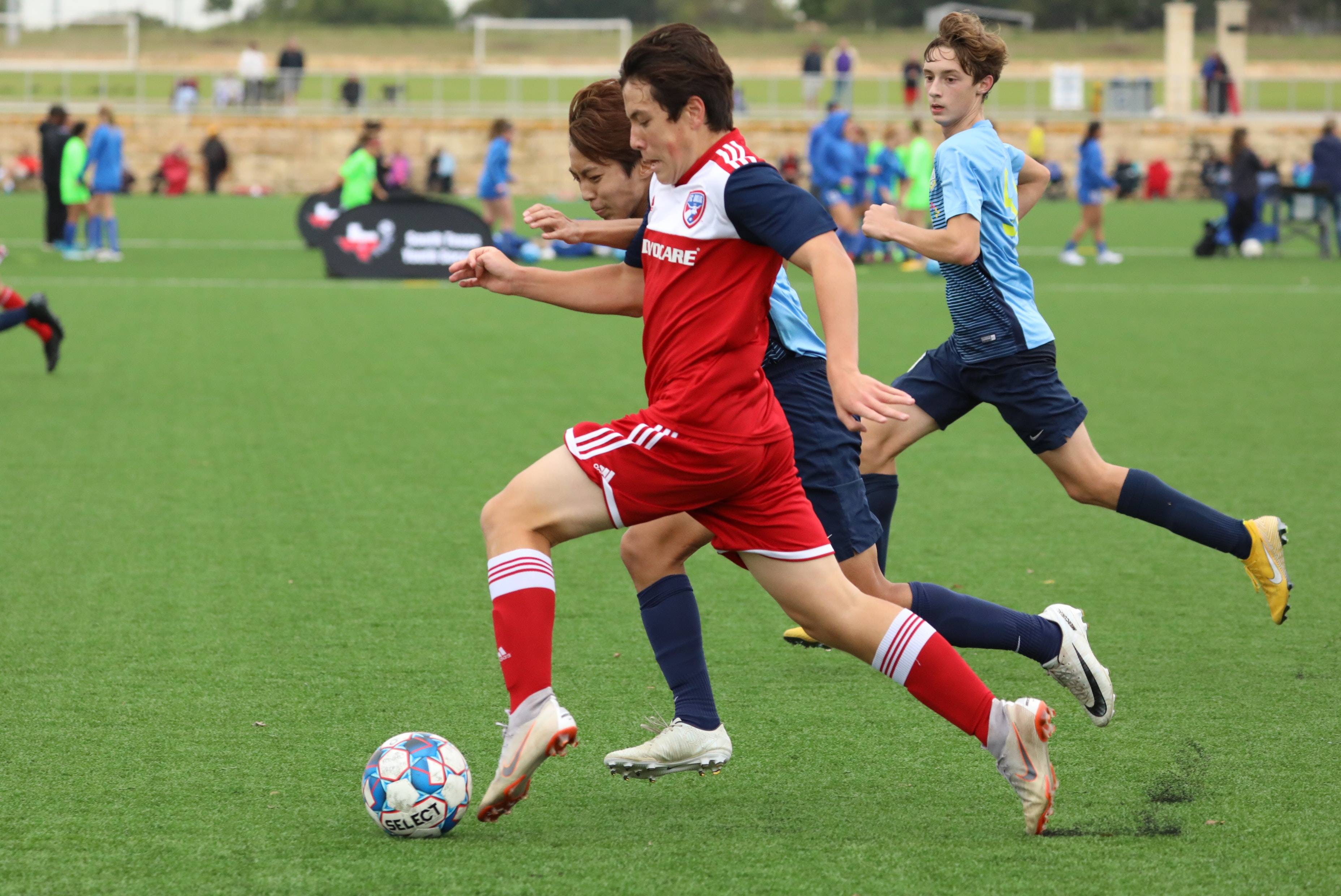 们看到了个 们看到了个