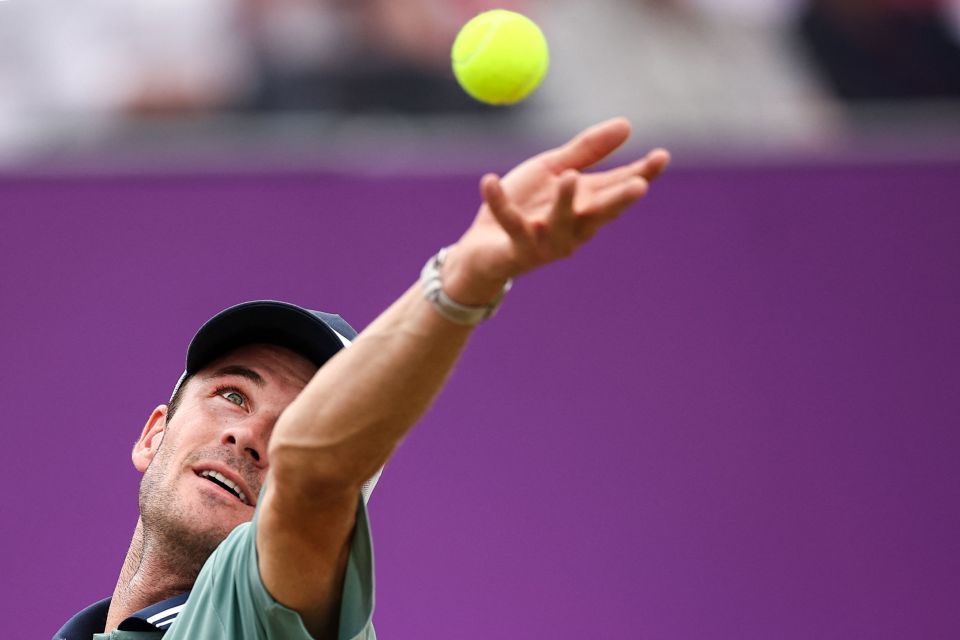 作用无可替 作用无可替