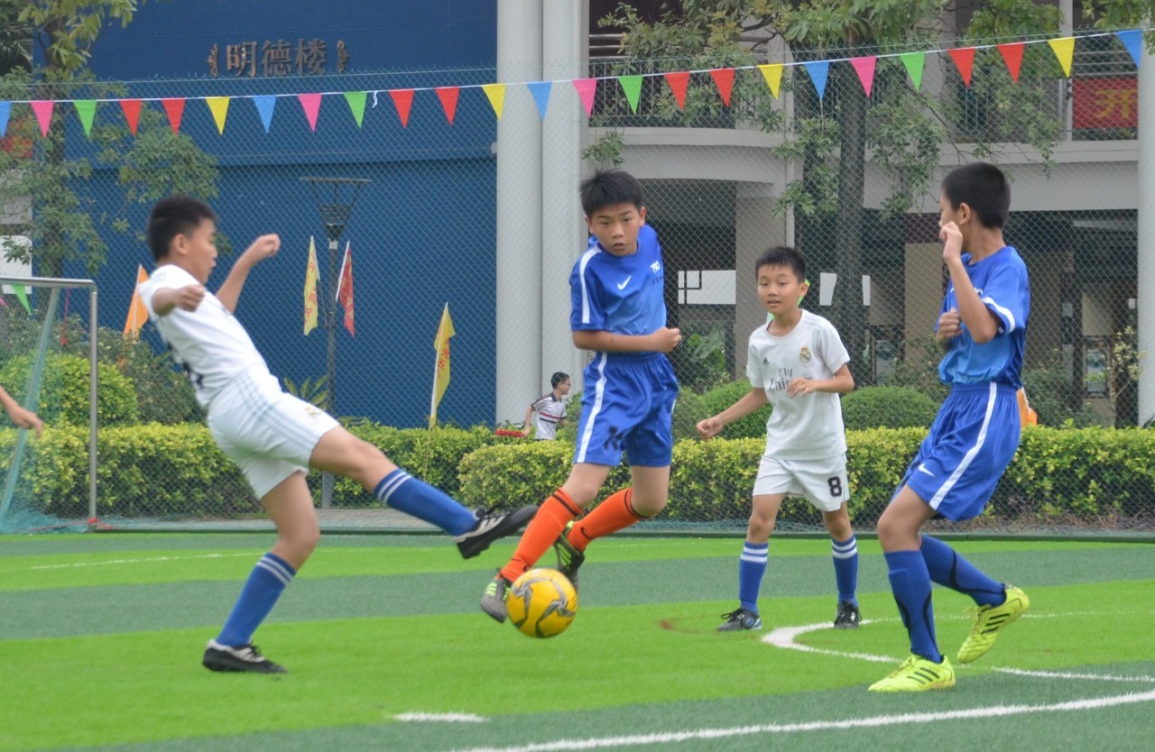 因为战术过 因为战术过