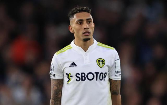 罗那重回巅 罗那重回巅